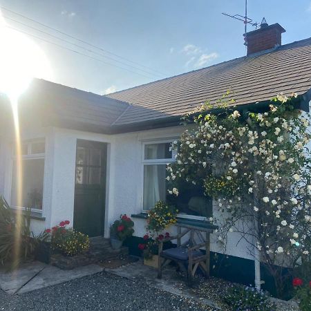 Hawthorn Cottage Greencastle  Buitenkant foto