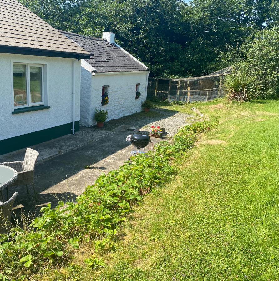Hawthorn Cottage Greencastle  Buitenkant foto